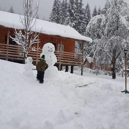 Cottage Shgedi Mestia Zewnętrze zdjęcie