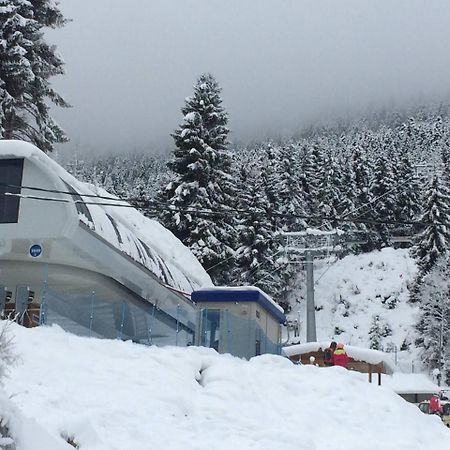 Cottage Shgedi Mestia Zewnętrze zdjęcie