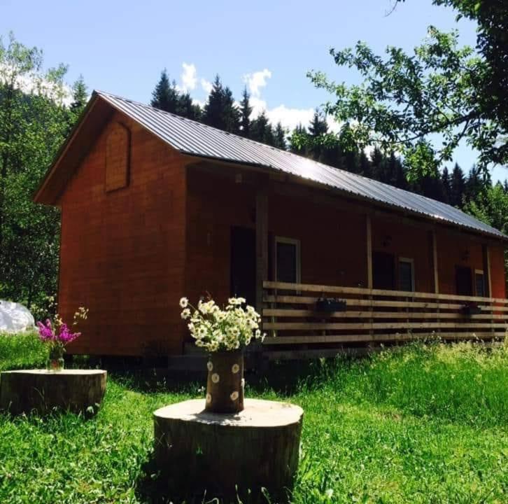 Cottage Shgedi Mestia Zewnętrze zdjęcie