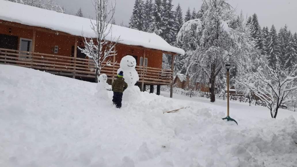Cottage Shgedi Mestia Zewnętrze zdjęcie