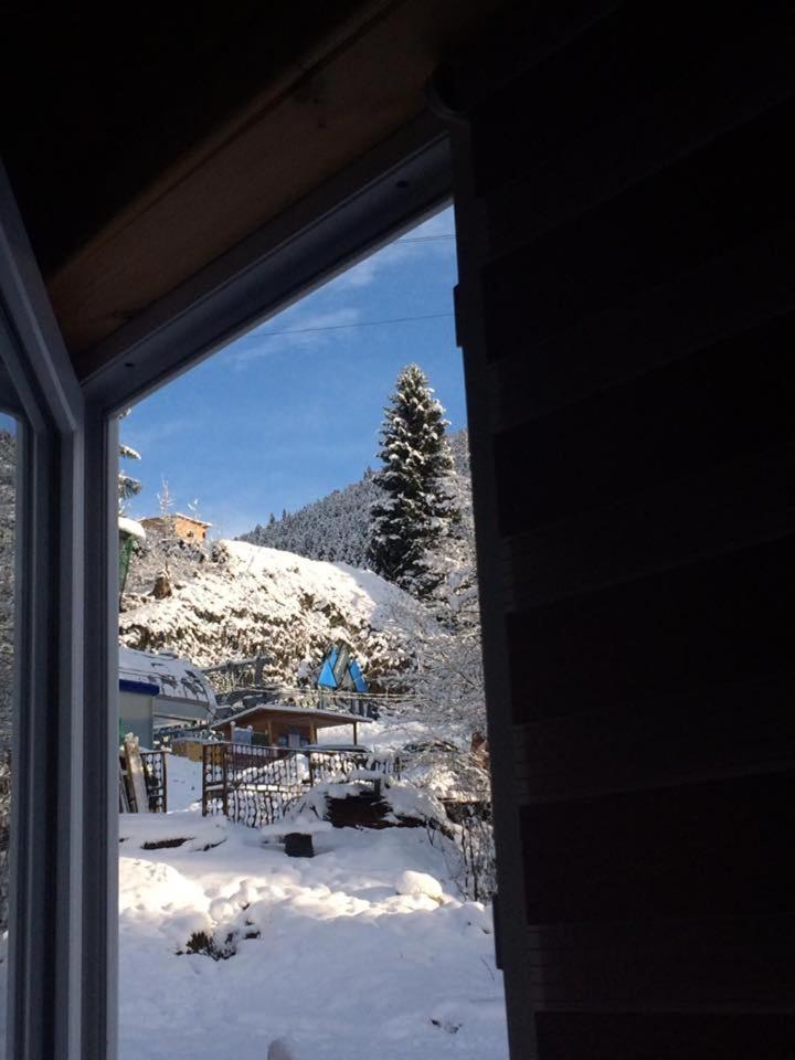 Cottage Shgedi Mestia Zewnętrze zdjęcie