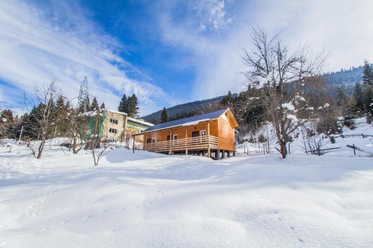 Cottage Shgedi Mestia Zewnętrze zdjęcie