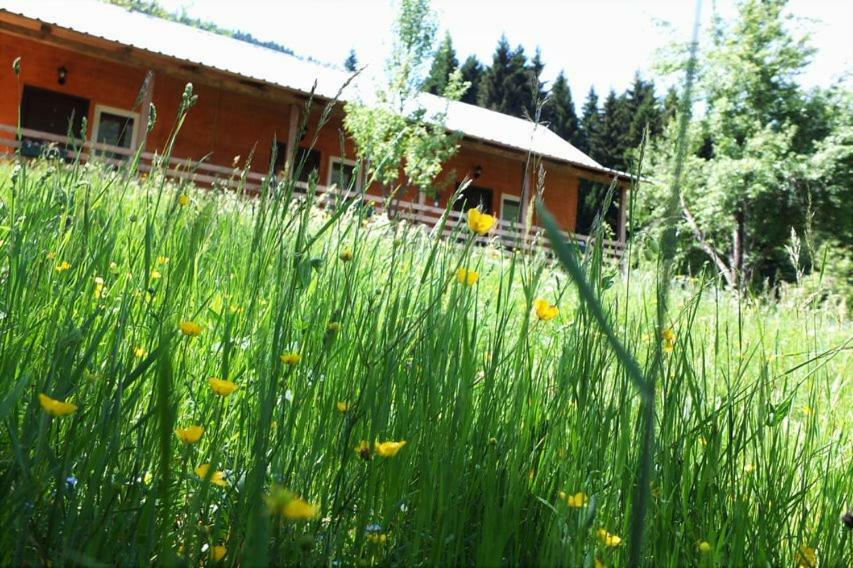 Cottage Shgedi Mestia Zewnętrze zdjęcie